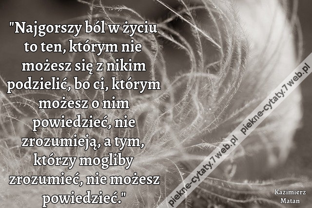 Najgorszy ból w życiu to ten, którym nie możesz się z nikim podzielić, bo ci, którym możesz o nim powiedzieć, nie zrozumieją, a tym, którzy mogliby zrozumieć, nie możesz powiedzieć.