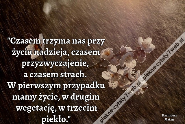 Czasem trzyma nas przy życiu nadzieja, czasem przyzwyczajenie, a czasem strach. W pierwszym przypadku mamy życie, w drugim wegetację, w trzecim piekło.