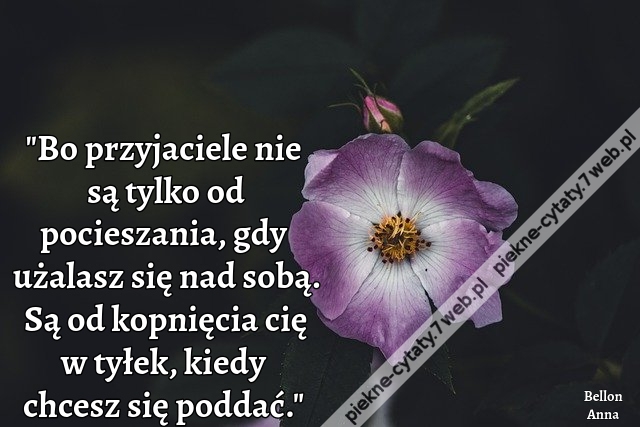 Bo przyjaciele nie są tylko od pocieszania, gdy użalasz się nad sobą. Są od kopnięcia cię w tyłek, kiedy chcesz się poddać.