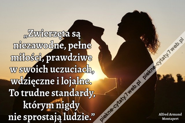 „Zwierzęta są niezawodne, pełne miłości, prawdziwe w swoich uczuciach, wdzięczne i lojalne. To trudne standardy, którym nigdy nie sprostają ludzie.”