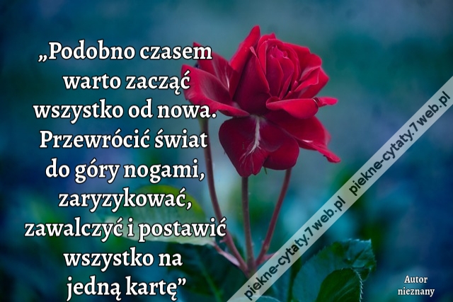 „Podobno czasem warto zacząć wszystko od nowa. Przewrócić świat do góry nogami, zaryzykować, zawalczyć i postawić wszystko na jedną kartę”