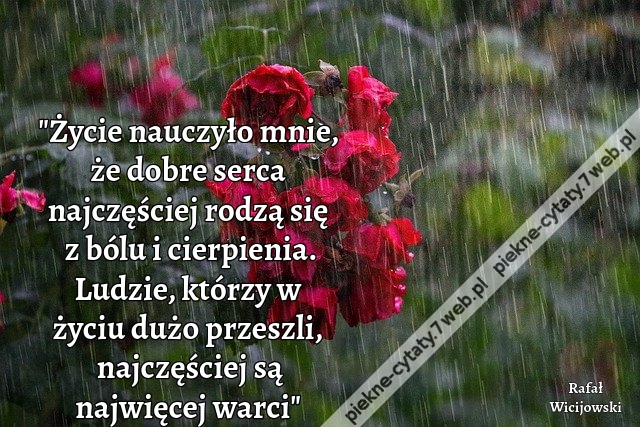 "Życie nauczyło mnie, że dobre serca najczęściej rodzą się z bólu i cierpienia. Ludzie, którzy w życiu dużo przeszli, najczęściej są najwięcej warci"