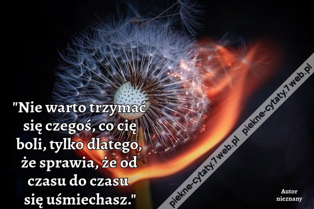 Nie warto trzymać się czegoś, co cię boli, tylko dlatego, że sprawia, że od czasu do czasu się uśmiechasz.