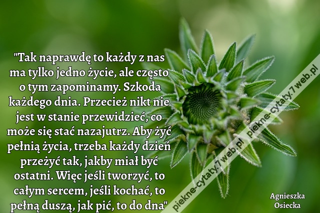 "Tak naprawdę to każdy z nas ma tylko jedno życie, ale często o tym zapominamy. Szkoda każdego dnia. Przecież nikt nie jest w stanie przewidzieć, co może się stać nazajutrz. Aby żyć pełnią życia, trzeba każdy dzień przeżyć tak, jakby miał być ostatni. Wię