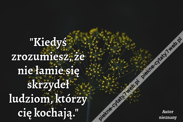 Kiedyś zrozumiesz, że nie łamie się skrzydeł ludziom, którzy cię kochają.