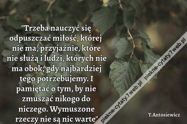 "Trzeba nauczyć się odpuszczać miłość, której nie ma, przyjaźnie, które nie służą i ludzi, których nie ma obok, gdy najbardziej tego potrzebujemy. I pamiętać o tym, by nie zmuszać nikogo do niczego. Wymuszone rzeczy nie są nic warte"