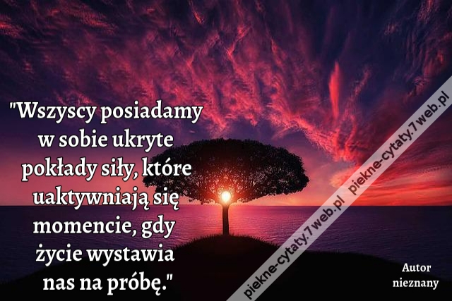 Wszyscy posiadamy w sobie ukryte pokłady siły, które uaktywniają się momencie, gdy życie wystawia nas na próbę.