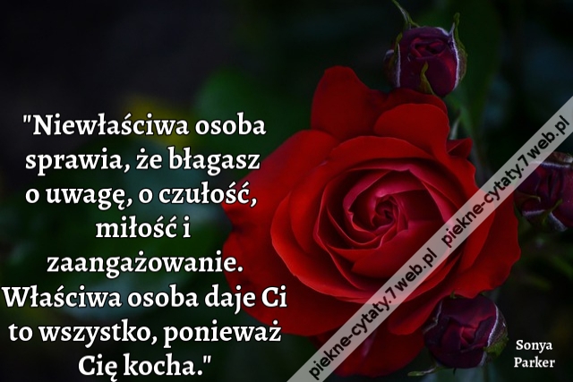 Niewłaściwa osoba sprawia, że błagasz o uwagę, o czułość, miłość i zaangażowanie. Właściwa osoba daje Ci to wszystko, ponieważ Cię kocha.