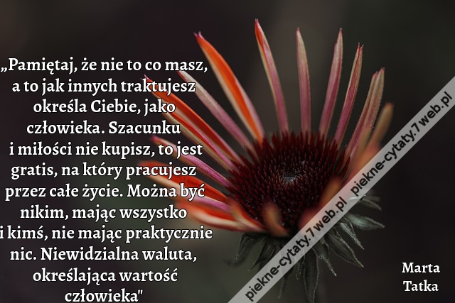 „Pamiętaj, że nie to co masz, a to jak innych traktujesz określa Ciebie, jako człowieka. Szacunku i miłości nie kupisz, to jest gratis, na który pracujesz przez całe życie. Można być nikim, mając wszystko i kimś, nie mając praktycznie nic. Niewidzialna wi