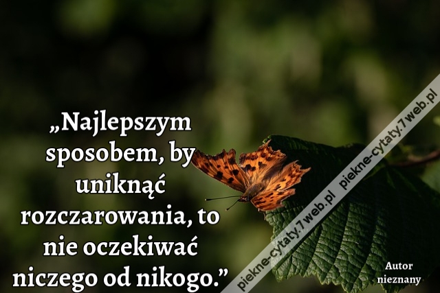 „Najlepszym sposobem, by uniknąć rozczarowania, to nie oczekiwać niczego od nikogo.”