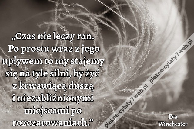 „Czas nie leczy ran. Po prostu wraz z jego upływem to my stajemy się na tyle silni, by żyć z krwawiącą duszą i niezabliźnionymi miejscami po rozczarowaniach.”