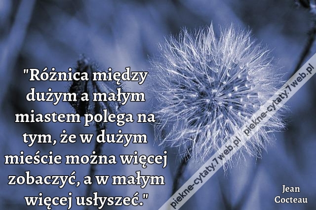 "Różnica między dużym a małym miastem polega na tym, że w dużym mieście można więcej zobaczyć, a w małym więcej usłyszeć."