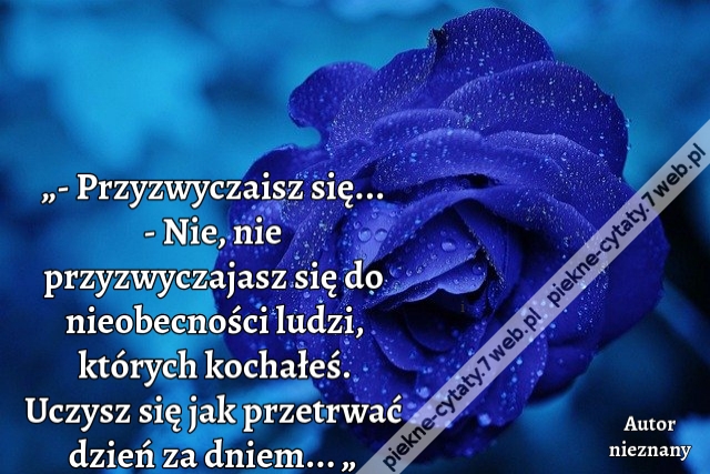 „- Przyzwyczaisz się... - Nie, nie przyzwyczajasz się do nieobecności ludzi, których kochałeś. Uczysz się jak przetrwać dzień za dniem... „