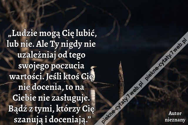 „Ludzie mogą Cię lubić, lub nie. Ale Ty nigdy nie uzależniaj od tego swojego poczucia wartości. Jeśli ktoś Cię nie docenia, to na Ciebie nie zasługuje. Bądź z tymi, którzy Cię szanują i doceniają.”