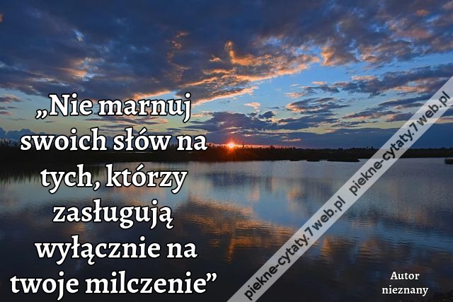 „Nie marnuj swoich słów na tych, którzy zasługują wyłącznie na twoje milczenie”