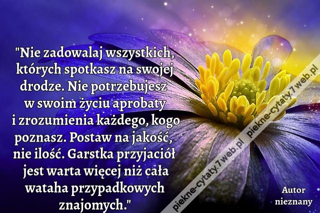 "Nie zadowalaj wszystkich, których spotkasz na swojej drodze. Nie potrzebujesz w swoim życiu aprobaty i zrozumienia każdego, kogo poznasz. Postaw na jakość, nie ilość. Garstka przyjaciół jest warta więcej niż cała wataha przypadkowych znajomych."