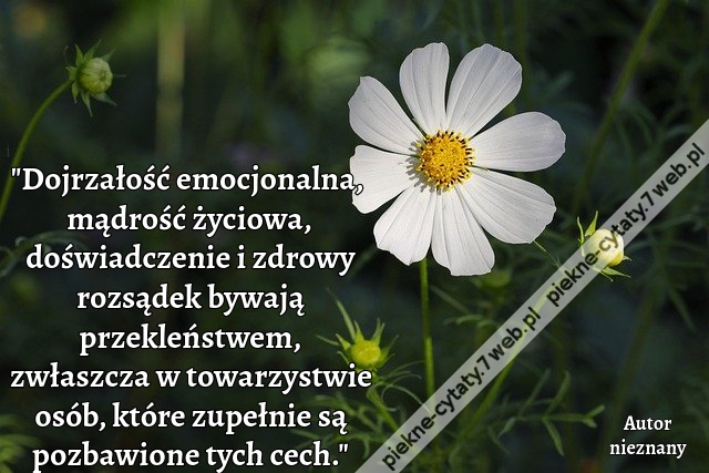 "Dojrzałość emocjonalna, mądrość życiowa, doświadczenie i zdrowy rozsądek bywają przekleństwem, zwłaszcza w towarzystwie osób, które zupełnie są pozbawione tych cech."