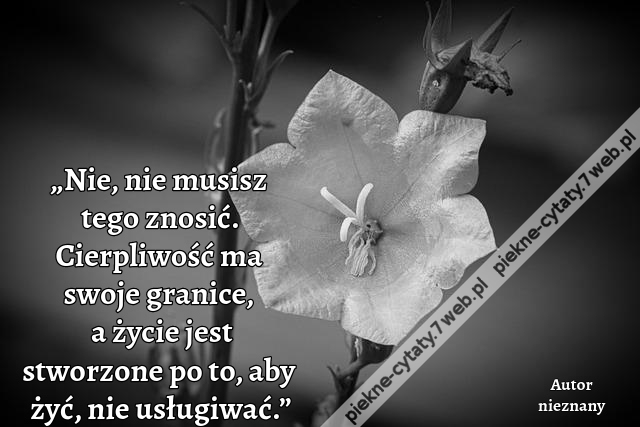 „Nie, nie musisz tego znosić. Cierpliwość ma swoje granice, a życie jest stworzone po to, aby żyć, nie usługiwać.”