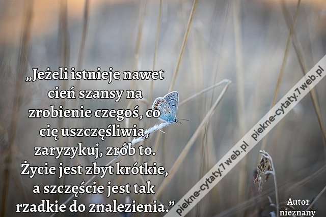 „Jeżeli istnieje nawet cień szansy na zrobienie czegoś, co cię uszczęśliwia, zaryzykuj, zrób to. Życie jest zbyt krótkie, a szczęście jest tak rzadkie do znalezienia.”