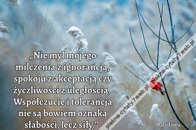 „Nie myl mojego milczenia z ignorancją, spokoju z akceptacją czy życzliwości z uległością. Współczucie i tolerancja nie są bowiem oznaką słabości, lecz siły.”