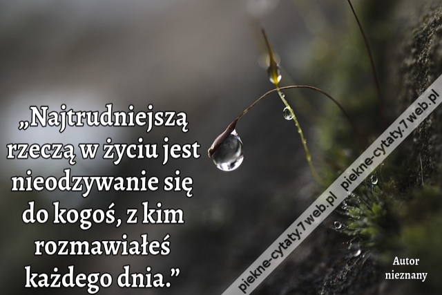 „Najtrudniejszą rzeczą w życiu jest nieodzywanie się do kogoś, z kim rozmawiałeś każdego dnia.”