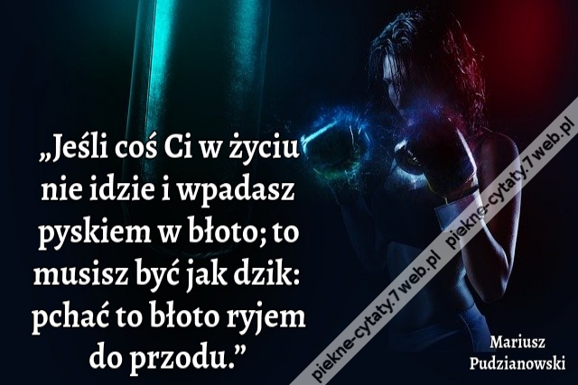 „Jeśli coś Ci w życiu nie idzie i wpadasz pyskiem w błoto; to musisz być jak dzik: pchać to błoto ryjem do przodu.”