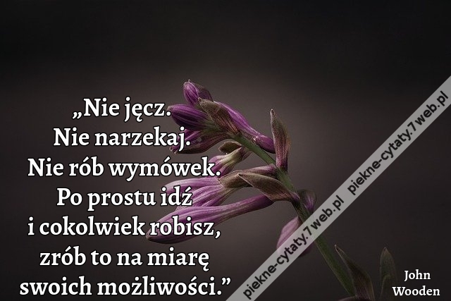 „Nie jęcz. Nie narzekaj. Nie rób wymówek. Po prostu idź i cokolwiek robisz, zrób to na miarę swoich możliwości.”