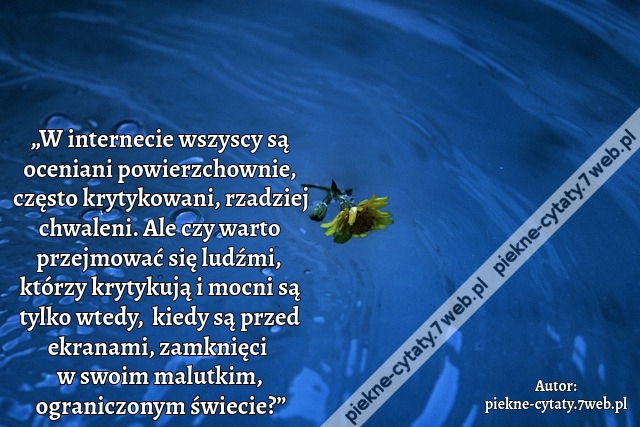 „W internecie wszyscy są oceniani powierzchownie, często krytykowani, rzadziej chwaleni. Ale czy warto przejmować się ludźmi, którzy krytykują i mocni są tylko wtedy,  kiedy są przed ekranami, zamknięci  w swoim malutkim, ograniczonym świecie?”