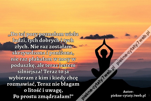 „Do tej pory poznałam wielu ludzi, tych dobrych i tych złych. Nie raz zostałam skrzywdzona i poniżona, nie raz płakałam w nocy w poduszkę, ale teraz jestem silniejsza! Teraz to ja wybieram z kim i kiedy chcę rozmawiać, Teraz nie błagam o litość i uwagę, P