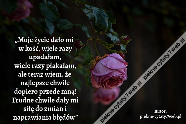 „Moje życie dało mi w kość, wiele razy upadałam, wiele razy płakałam, ale teraz wiem, że najlepsze chwile dopiero przede mną! Trudne chwile dały mi siłę do zmian i naprawiania błędów”