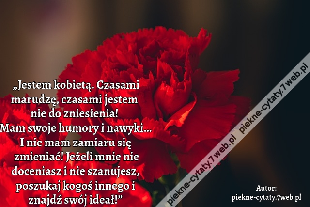 „Jestem kobietą. Czasami marudzę, czasami jestem nie do zniesienia! Mam swoje humory i nawyki… I nie mam zamiaru się zmieniać! Jeżeli mnie nie doceniasz i nie szanujesz, poszukaj kogoś innego i znajdź swój ideał!”