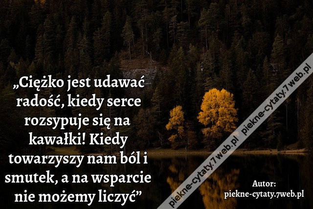 „Ciężko jest udawać radość, kiedy serce rozsypuje się na kawałki! Kiedy towarzyszy nam ból i smutek, a na wsparcie nie możemy liczyć”