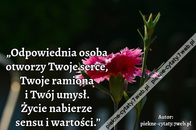 „Odpowiednia osoba otworzy Twoje serce, Twoje ramiona i Twój umysł. Życie nabierze sensu i wartości.”