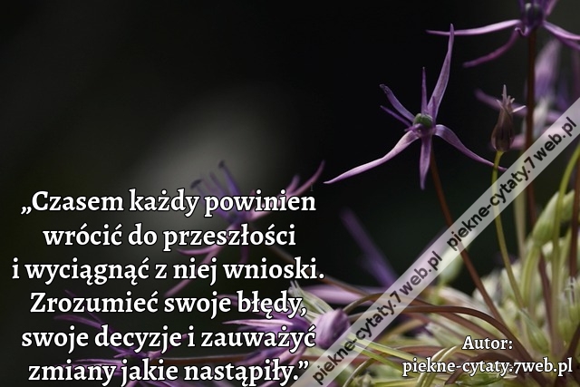 „Czasem każdy powinien wrócić do przeszłości i wyciągnąć z niej wnioski. Zrozumieć swoje błędy, swoje decyzje i zauważyć zmiany jakie nastąpiły.”