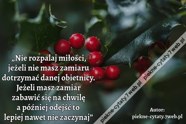 „Nie rozpalaj miłości, jeżeli nie masz zamiaru dotrzymać danej obietnicy. Jeżeli masz zamiar zabawić się na chwilę a później odejść to lepiej nawet nie zaczynaj”