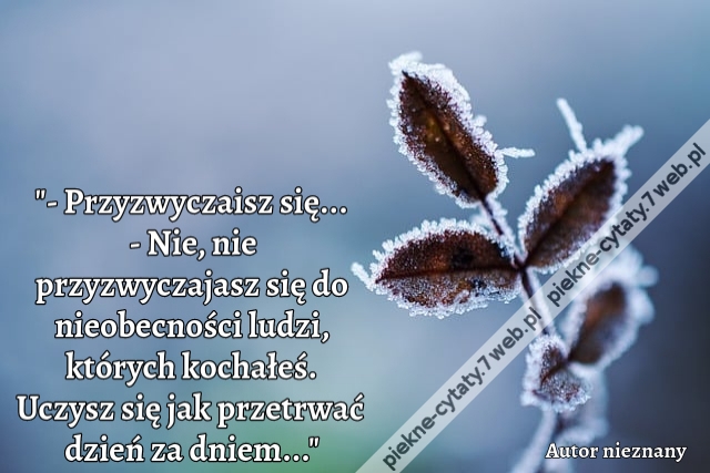 - Przyzwyczaisz się... - Nie, nie przyzwyczajasz się do nieobecności ludzi, których kochałeś. Uczysz się jak przetrwać dzień za dniem...