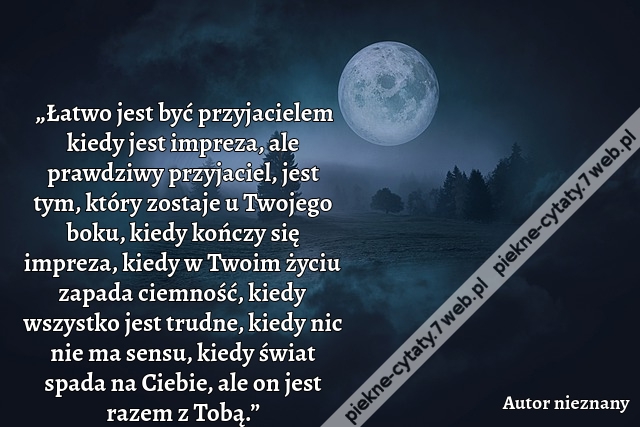 „Łatwo jest być przyjacielem kiedy jest impreza, ale prawdziwy przyjaciel, jest tym, który zostaje u Twojego boku, kiedy kończy się impreza, kiedy w Twoim życiu zapada ciemność, kiedy wszystko jest trudne, kiedy nic nie ma sensu, kiedy świat spada na Cieb