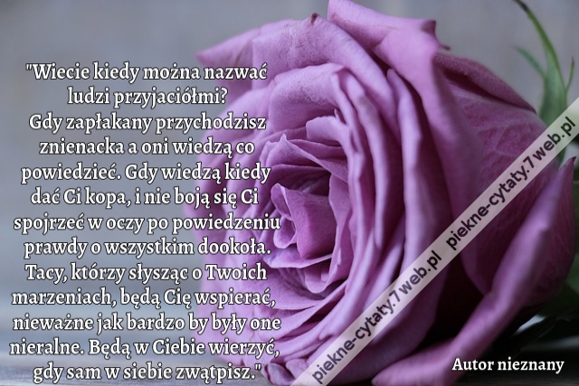 "Wiecie kiedy można nazwać ludzi przyjaciółmi? Gdy zapłakany przychodzisz znienacka a oni wiedzą co powiedzieć. Gdy wiedzą kiedy dać Ci kopa, i nie boją się Ci spojrzeć w oczy po powiedzeniu prawdy o wszystkim dookoła. Tacy, którzy słysząc o Twoich marzen