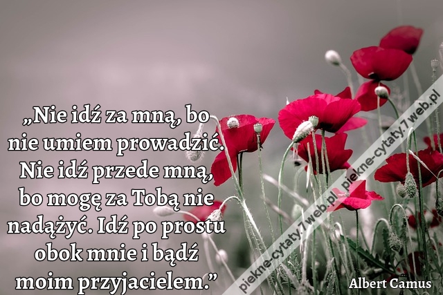 „Nie idź za mną, bo nie umiem prowadzić. Nie idź przede mną, bo mogę za Tobą nie nadążyć. Idź po prostu obok mnie i bądź moim przyjacielem.”