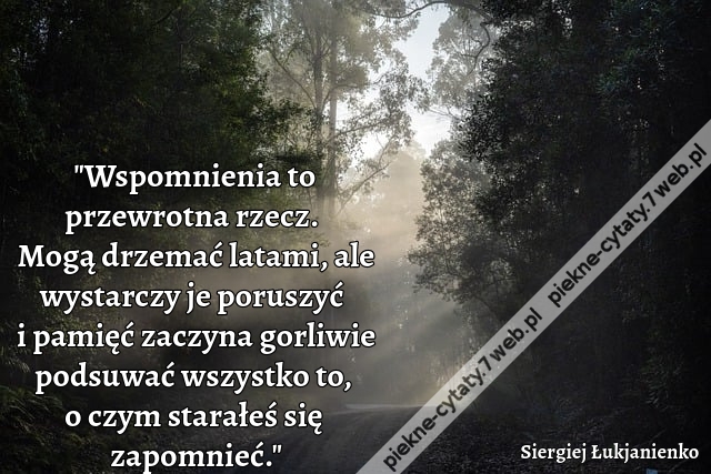 "Wspomnienia to przewrotna rzecz. Mogą drzemać latami, ale wystarczy je poruszyć i pamięć zaczyna gorliwie podsuwać wszystko to, o czym starałeś się zapomnieć."