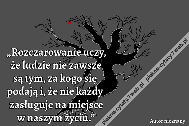 „Rozczarowanie uczy, że ludzie nie zawsze są tym, za kogo się podają i, że nie każdy zasługuje na miejsce w naszym życiu.”