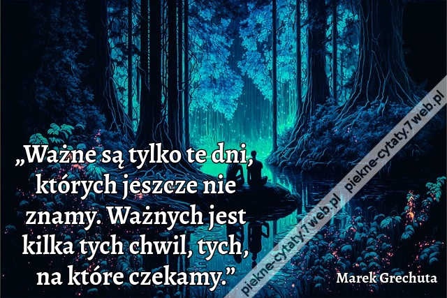 „Ważne są tylko te dni, których jeszcze nie znamy. Ważnych jest kilka tych chwil, tych, na które czekamy.”