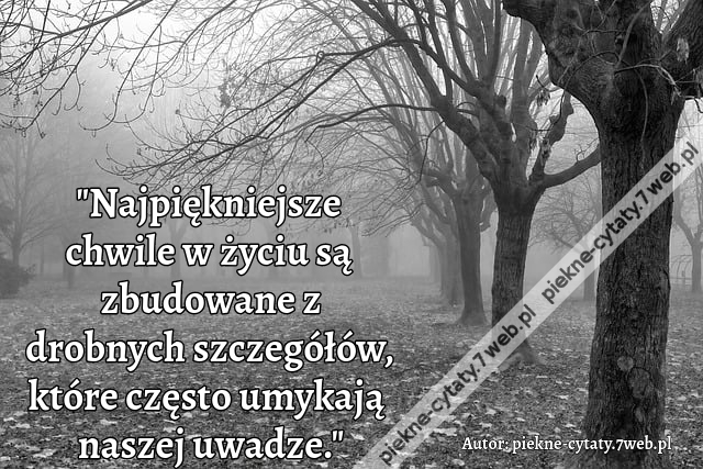 "Najpiękniejsze chwile w życiu są zbudowane z drobnych szczegółów, które często umykają naszej uwadze."