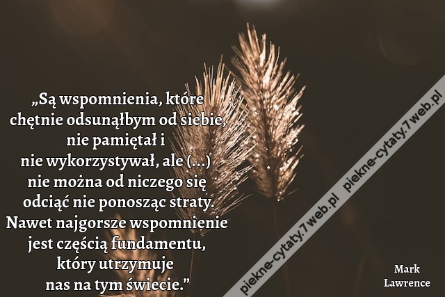 „Są wspomnienia, które chętnie odsunąłbym od siebie, nie pamiętał i nie wykorzystywał, ale (...) nie można od niczego się odciąć nie ponosząc straty. Nawet najgorsze wspomnienie jest częścią fundamentu, który utrzymuje nas na tym świecie.”