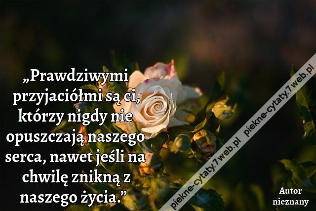 „Prawdziwymi przyjaciółmi są ci, którzy nigdy nie opuszczają naszego serca, nawet jeśli na chwilę znikną z naszego życia.”