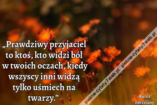 „Prawdziwy przyjaciel to ktoś, kto widzi ból w twoich oczach, kiedy wszyscy inni widzą tylko uśmiech na twarzy.”i