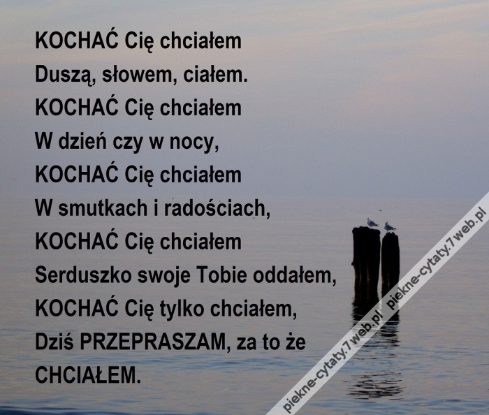 Kochać Cię chciałem.