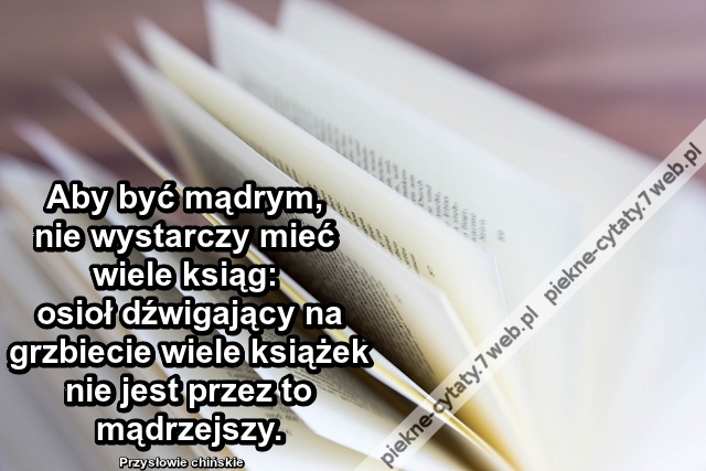 Aby być mądrym, nie wystarczy ...